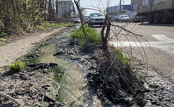В Курске канализационный ручей шестой год течёт в Сейм