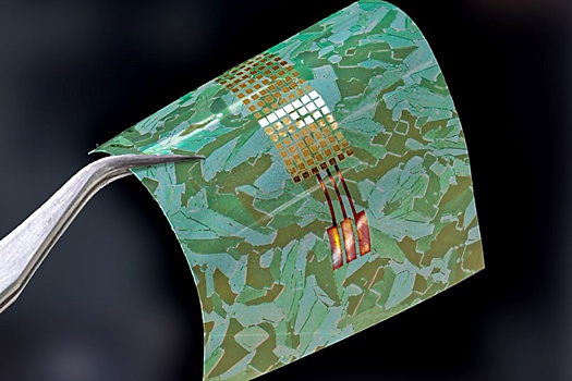 Ученые создали органические пленки для зарядки кардиостимуляторов