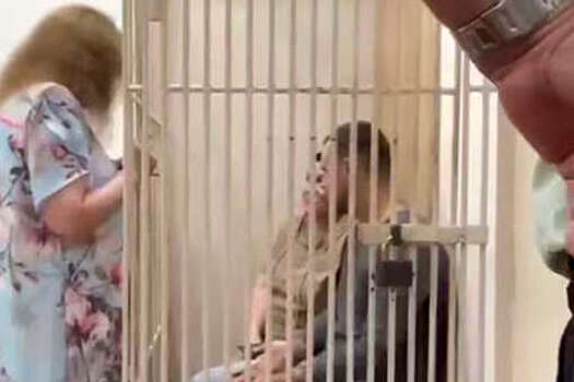 В Приморье посадят семью автоподставщиков, похитивших более 8 млн рублей