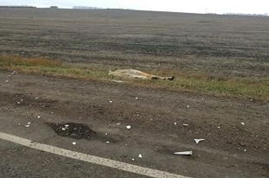 На трассе Уфа-Оренбург найден труп человека