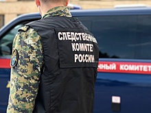 В Новгороде обнаружили тело пропавшей полуторагодовалой девочки