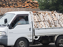 Жители пермской деревни боятся замерзнуть зимой без дров