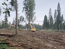 Жители Подмосковья обвинили местные власти в варварском отношении к природоохранным зонам