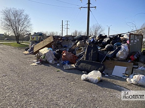 Администрацию Оренбурга обязали содержать контейнерные площадки для мусора