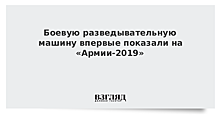 На "Армии-2019" впервые представили боевой модуль "Нарцисс"