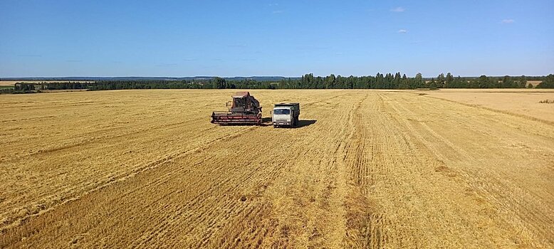 Сельхозпредприятия Удмуртии побили рекорд десятилетия по сбору зерна и урожайности
