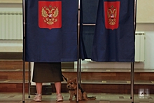 Губернатор Костромской области проголосовал на выборах главы региона