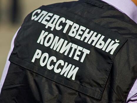 По факту гибели мужчины на рельсах в Москве организована доследственная проверка
