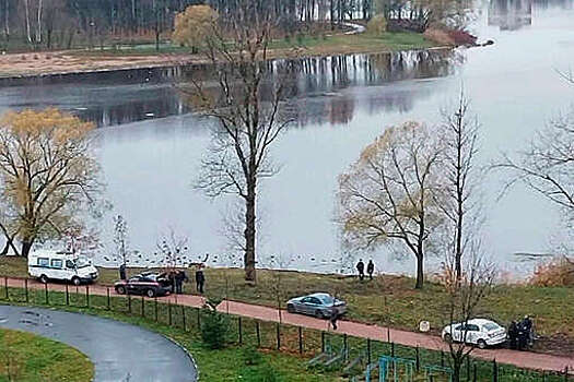 Под окнами дома в Москве нашли человеческие останки, нож и разделочную доску