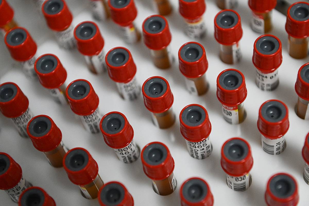 В двух магазинах Брянска ввели карантин из-за африканской чумы свиней