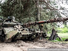 Рогов заявил о «разбитых бандерлогах» после наступления ВСУ