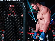 Бой между Молдавским и Моури на Bellator 284 признан несостоявшимся из-за тычка в глаз