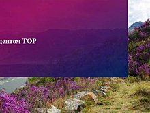 Шесть компаний претендуют на статус резидента «Забайкалья»