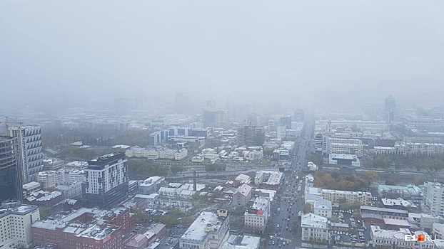 Новогодний фоторепортаж: по Екатеринбургу прошла стремительная метель