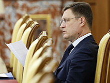 Новак назвал комфортной цену нефти в $80-85 за баррель для российского бюджета