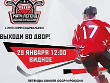 Звезды российского хоккея в субботу сыграют в матче с дворовой командой в Видном