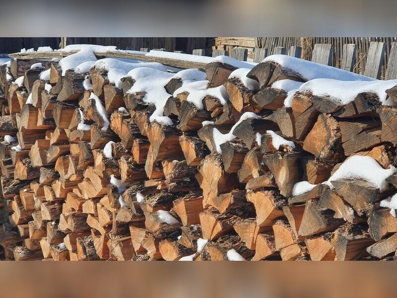 В Забайкальском крае самые низкие цены на дрова среди регионов — замглавы Минприроды края