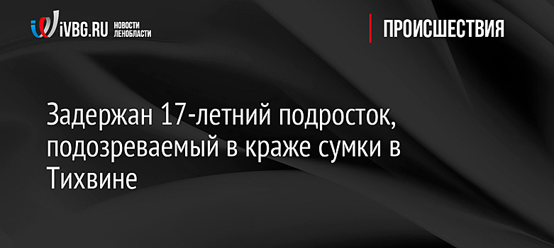 Задержан 17-летний подросток, подозреваемый в краже сумки в Тихвине