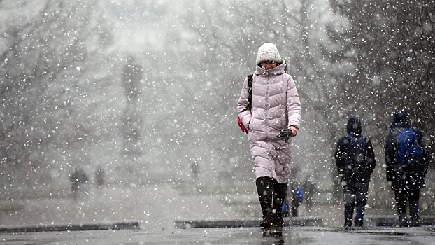 Метеоролог пообещал снежные выходные в Москве