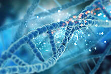 Генетики нашли связанную с эпилепсией мутацию у потомков