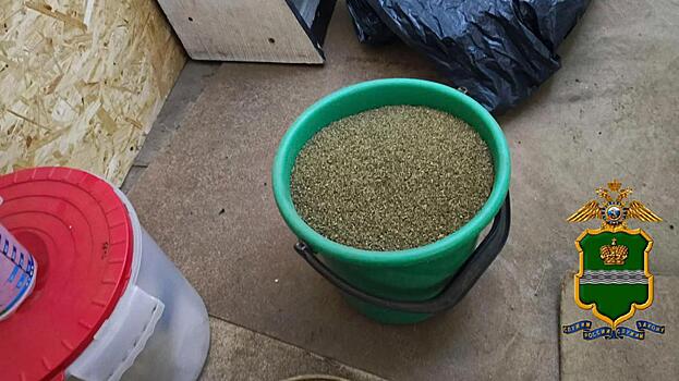 В Калуге пойдёт под суд наркоделец, вырастивший в поле коноплю и изготовивший из неё 23 кг марихуаны