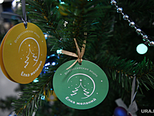 Единороссы ХМАО получили шанс сэкономить на подарках для «Елки желаний»