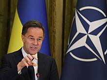 В Раде назвали «теплую ванну» для Рютте худшим решением