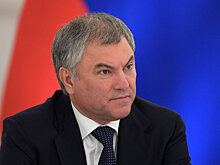 Володин поздравил защитников Отечества с праздником