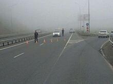 ГИБДД Владивостока настоятельно рекомендует автомобилистам оставаться дома