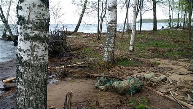 Волонтеры очистят часть Рыбинского моря от сетей и затонувшей техники