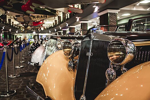 Чем школьнику заняться на осенних каникулах в Подмосковье?