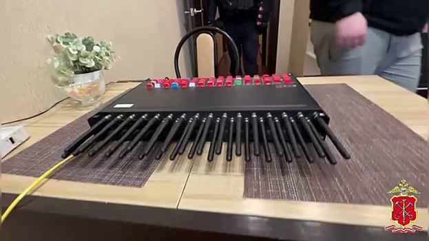 Полиция Петербурга ликвидировала узел связи, при помощи которого аферисты обманули десятки россиян