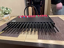 Полиция Петербурга ликвидировала узел связи, при помощи которого аферисты обманули десятки россиян