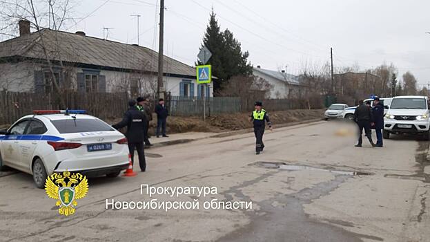 Сбивший насмерть ребенка водитель ответит перед судом в Бердске