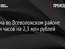В Подмосковье из дома бизнесмена украли украшения и часы почти на 6 млн рублей