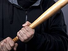 Водитель автобуса в Балашове получил срок за удар битой конкурента