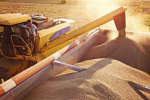 Россия после экспортной квоты снизила поставки пшеницы на 7% - РЗС