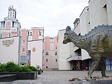 Дарвиновский музей стал площадкой проведения кинофестиваля авторского кино MosFilm Fest - 2021