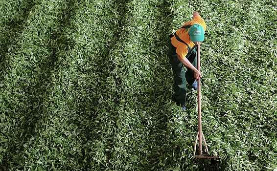 Казахстан рекордно закупился чаем и&nbsp;сладостями у&nbsp;России