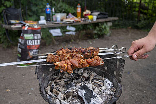 "Ъ": продажи мяса для шашлыка в РФ снизились на 11,3% из-за холодного лета