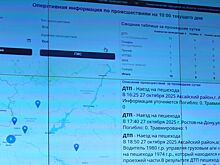 В правительстве Ростовской области обновлена информационно-аналитическая система