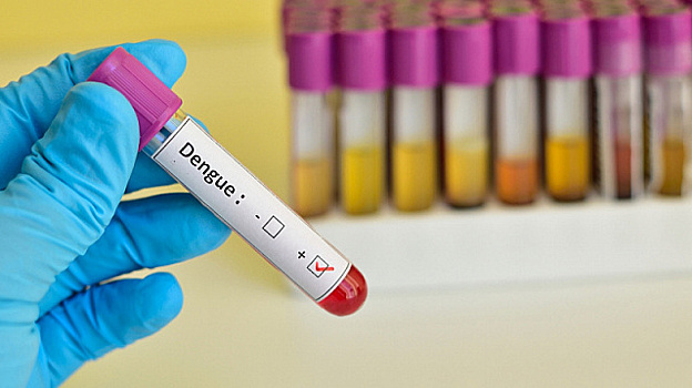 Вакцина против денге будет включена в бразильскую систему здравоохранения в 2024 году