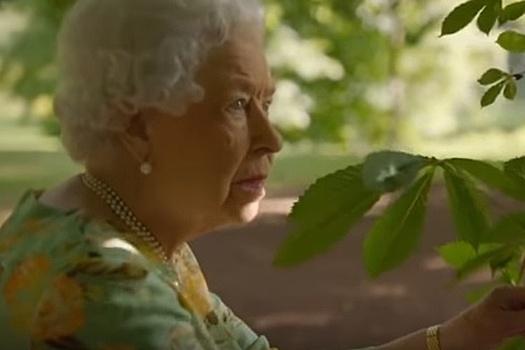 СМИ: королева Елизавета II снялась в фильме о защите окружающей среды