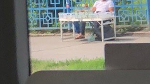 Кемеровчанин продавал на улице живых черепах в контейнерах для еды