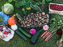 Минпромторг объяснил, какие продукты можно будет купить по карточкам для малоимущих