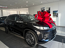 Кузбасский эксперт: мощные китайцы подешевеют, а LADA будет в тренде