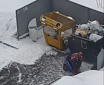 Видео дня. Человек-паук контролирует вывоз мусора в Нижнем Новгороде