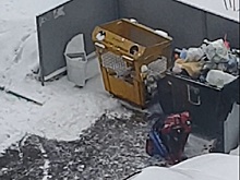 Видео дня. Человек-паук контролирует вывоз мусора в Нижнем Новгороде