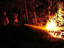 В Минприроды подготовили поправки об оплате сверхурочных при тушении лесных пожаров