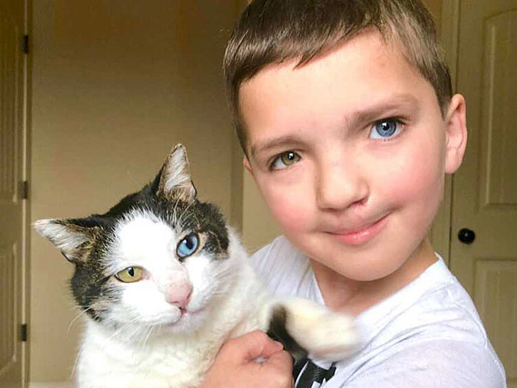 В школе он жестоко страдал он насмешек одноклассников, но совершенно неожиданно обрести душевное равновесии ему помог котенок, фото которого мать мальчика, Кристина Хамфрис, увидела в соцсетях.  
